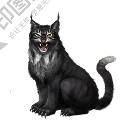 猞猁_山貍子_山貓_lynx_lynx_PNG10