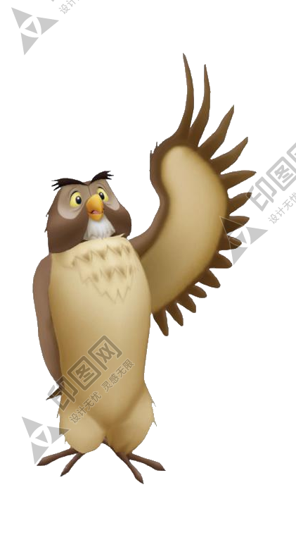 鸟_猫头鹰_枭_鸮_owl_owl_PNG27