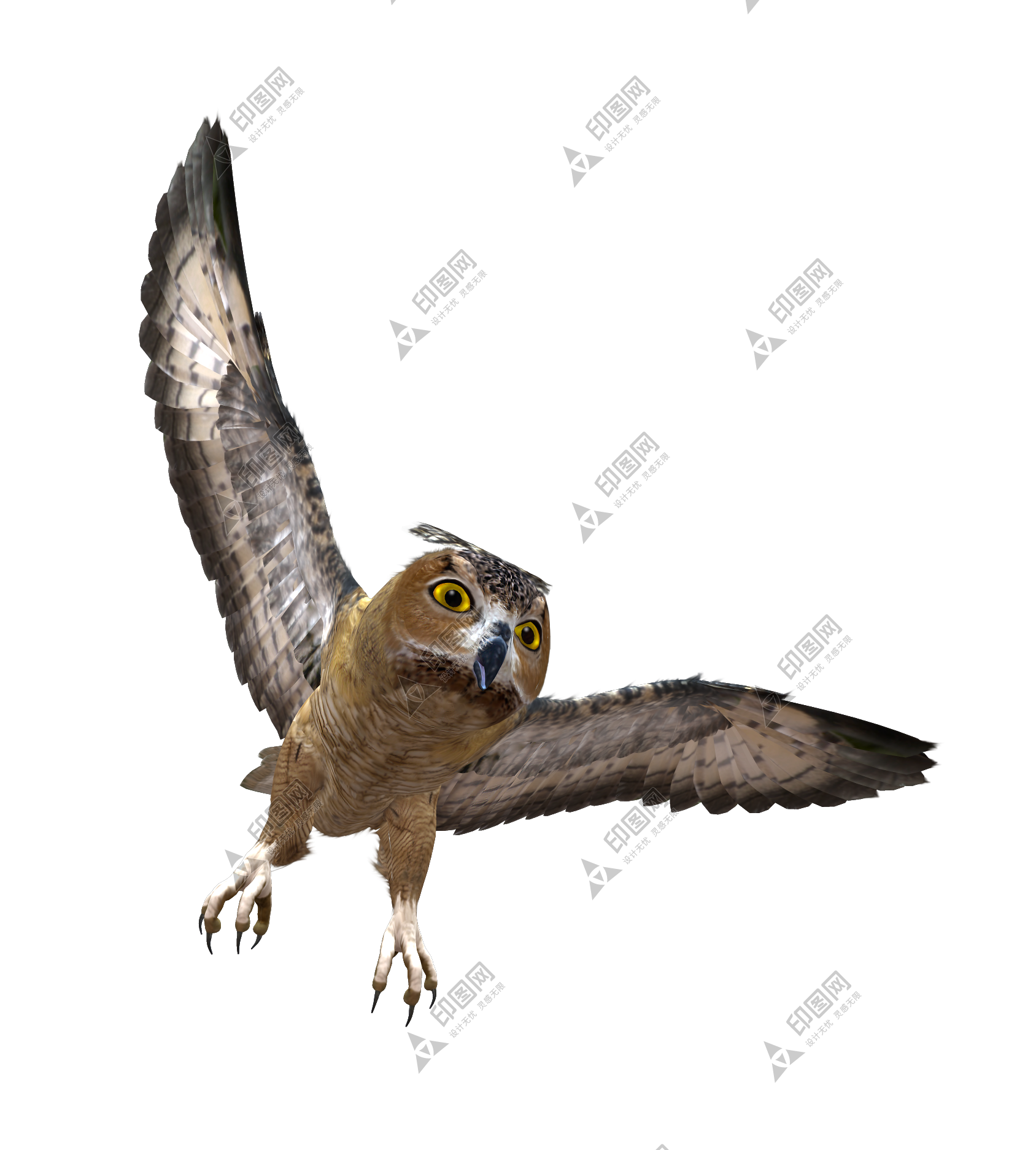 鸟_猫头鹰_枭_鸮_owl_owl_PNG28