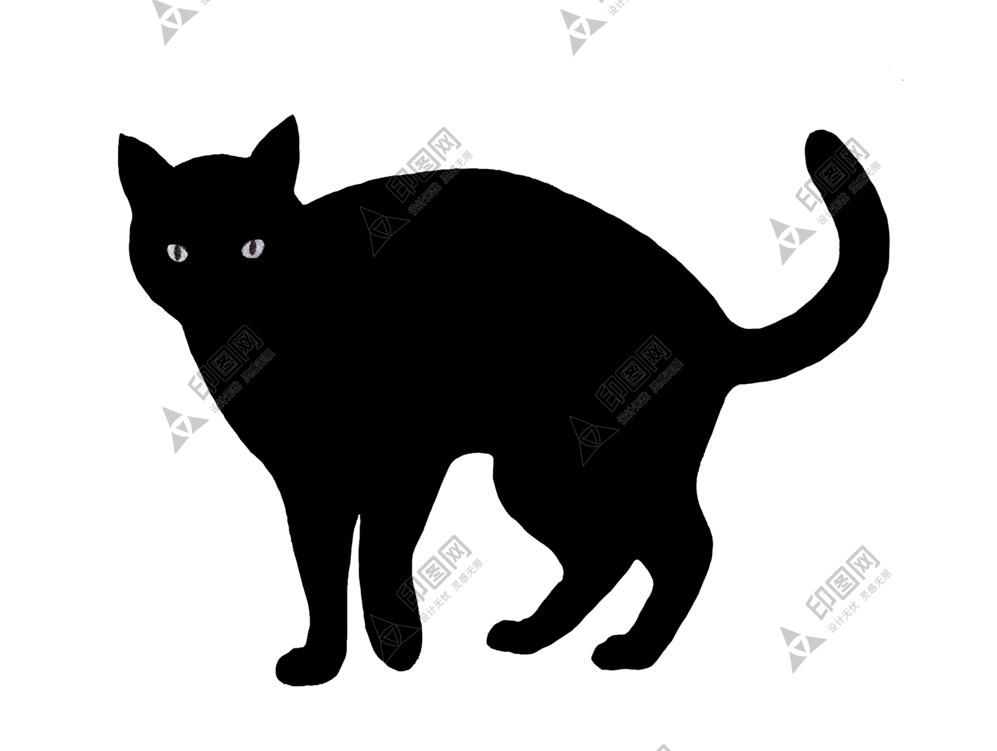 猫_猫咪_小猫_cat_PNG50510