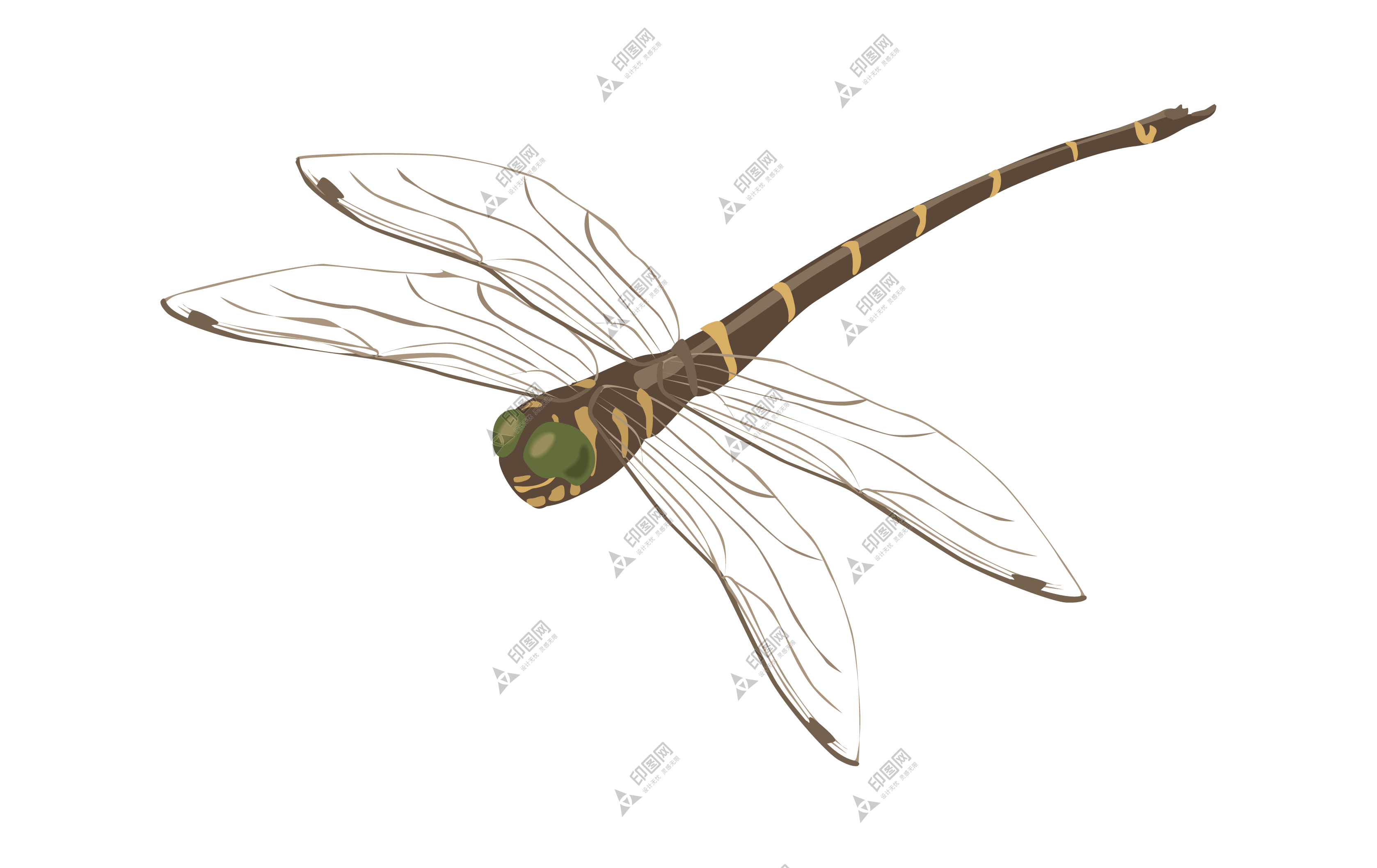 昆蟲_蜻蜓_點燈兒_紗羊_dragonfly_dragonfly