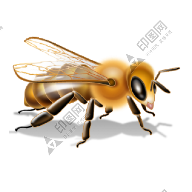 昆虫_蜜蜂_bee_bee图片素材免费下载-印图网