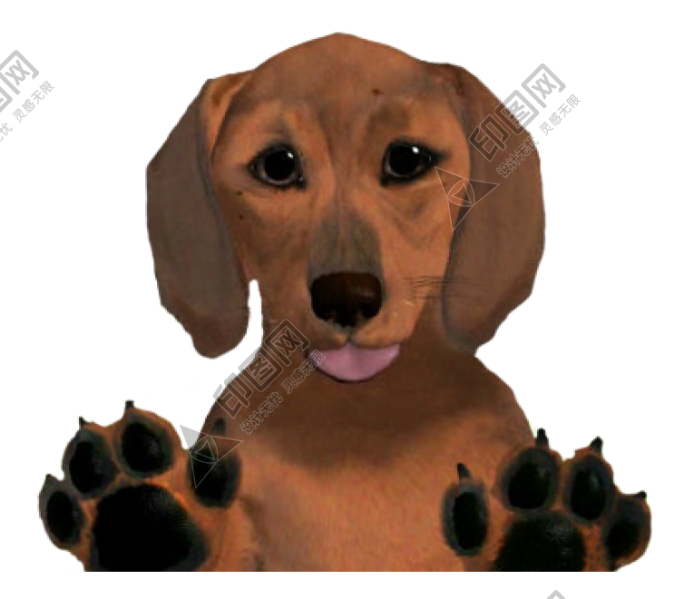 臘腸狗_獵獾狗_狗_dachshund_dachshund