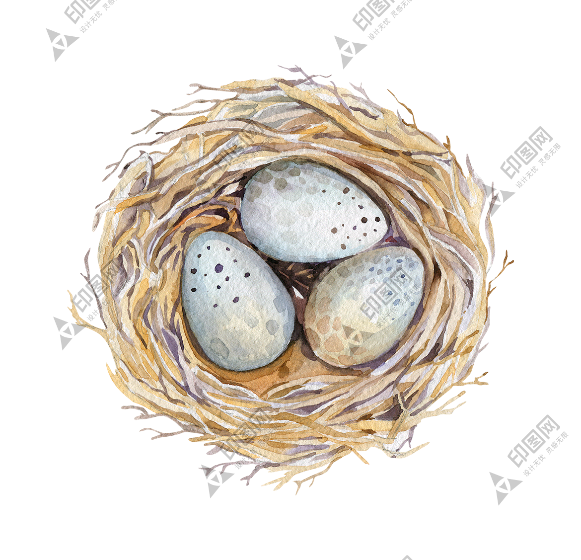 自然_鳥(niǎo)巢_鳥(niǎo)窩_巢穴_鳥(niǎo)蛋_nest_nest