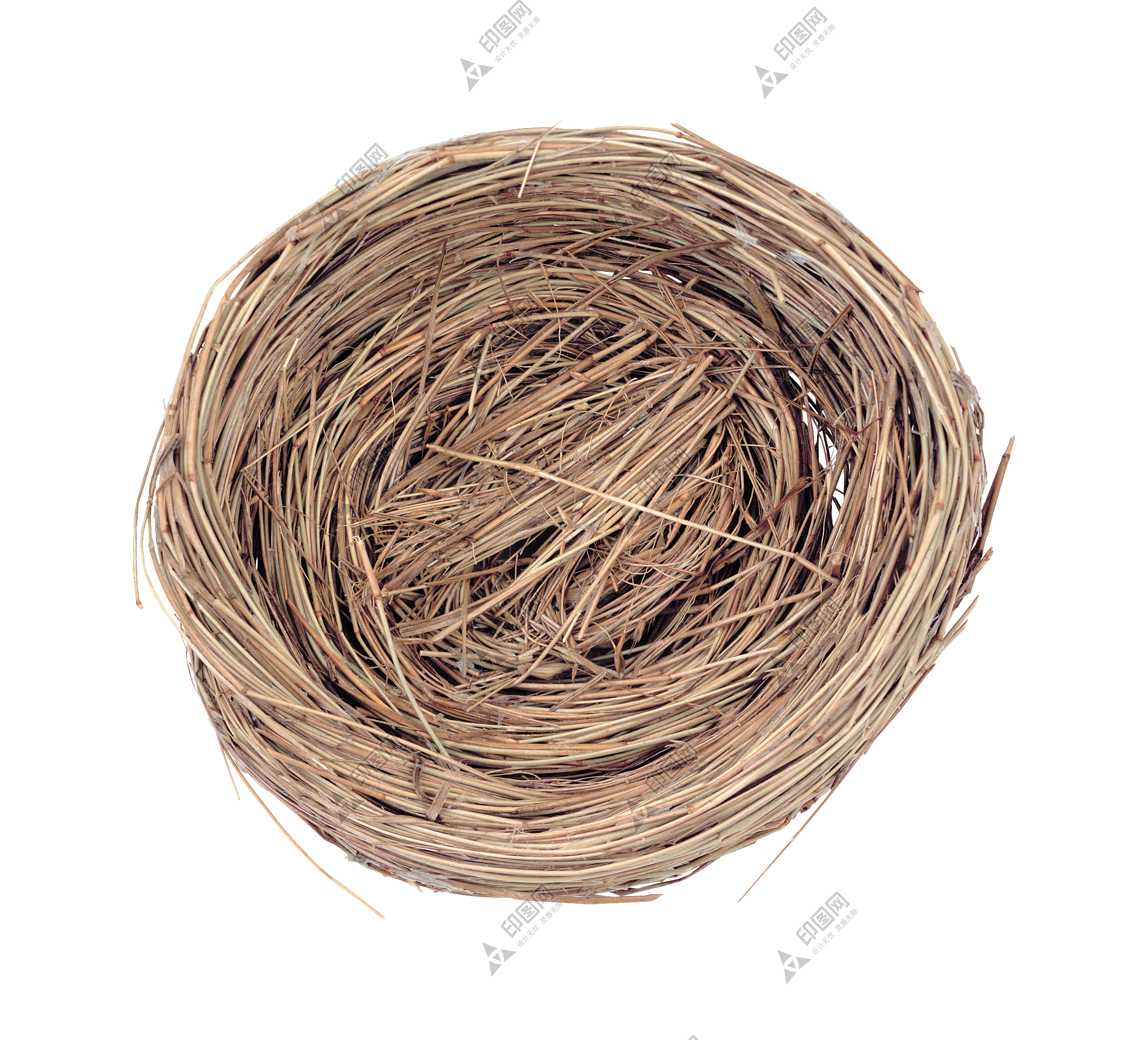 自然_鸟巢_鸟窝_巢穴_鸟蛋_nest_nest
