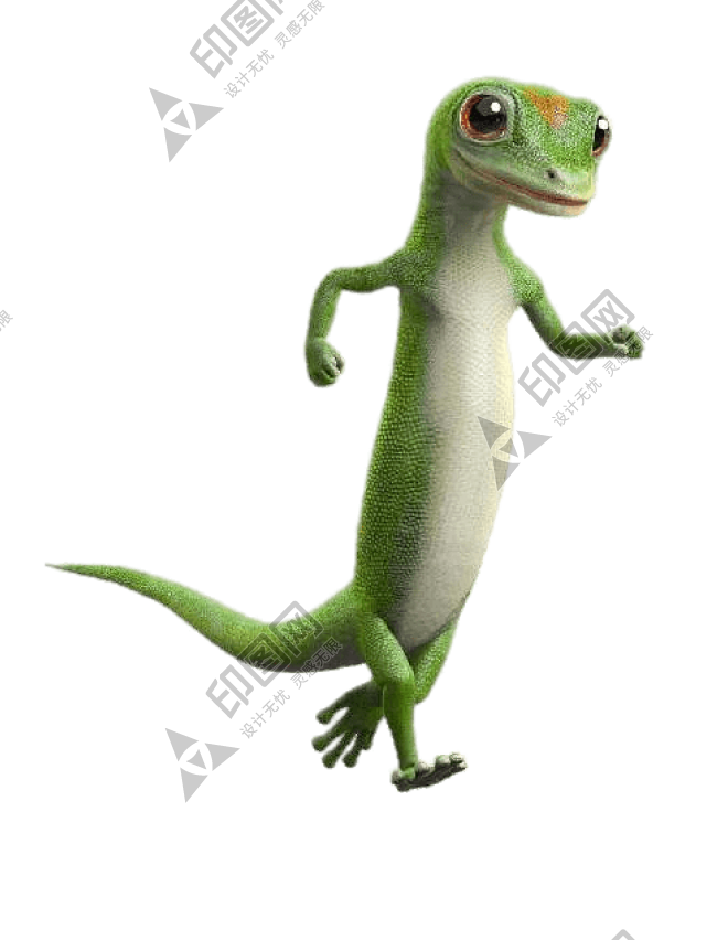 壁虎_蜥蜴_gecko_gecko