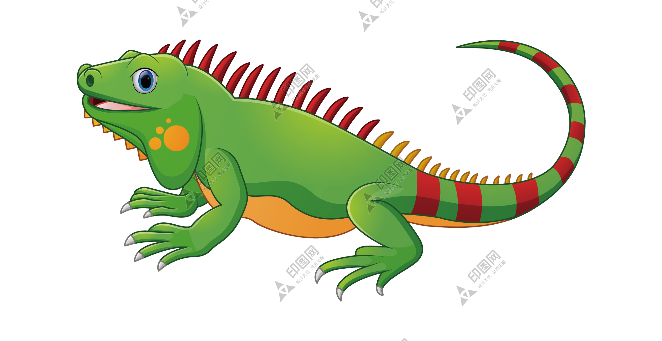 蜥蜴_鬣鳞蜥_iguana_iguana