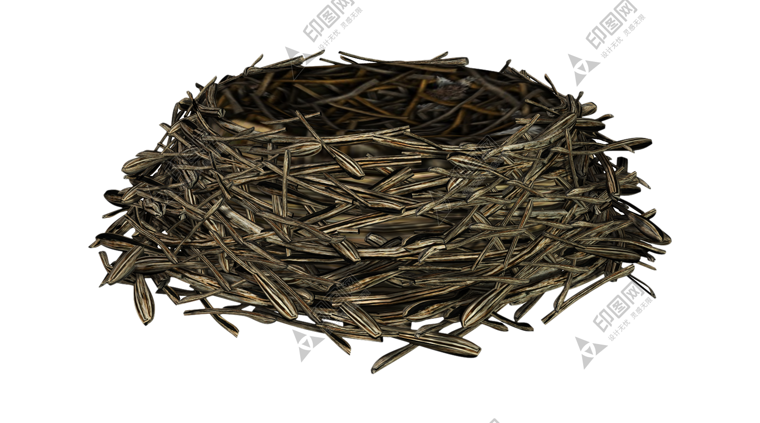 自然_鸟巢_鸟窝_巢穴_鸟蛋_nest_nest
