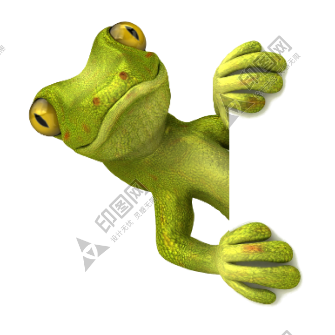 蜥蜴_lizard_lizard