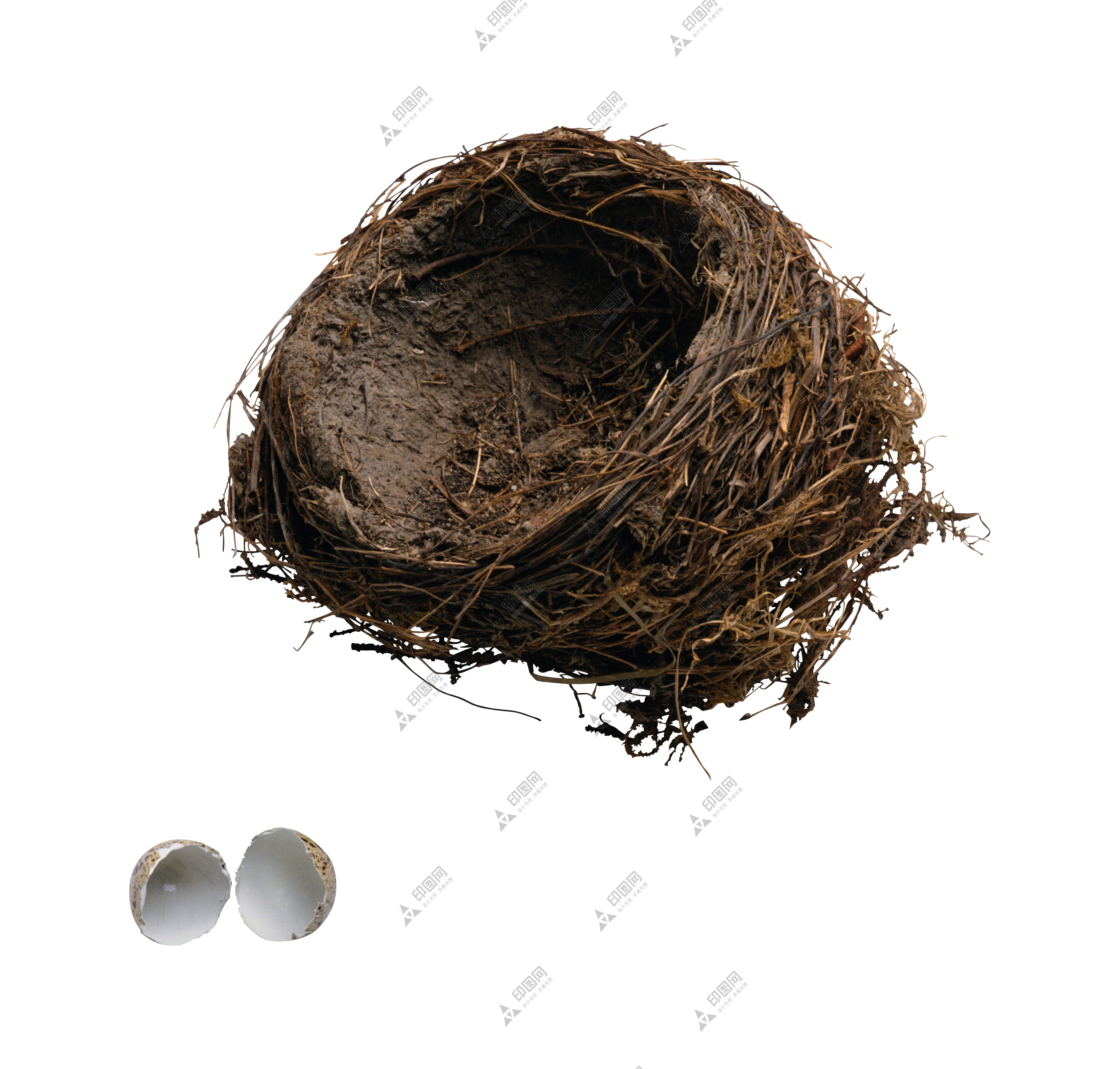 自然_鸟巢_鸟窝_巢穴_鸟蛋_nest_nest