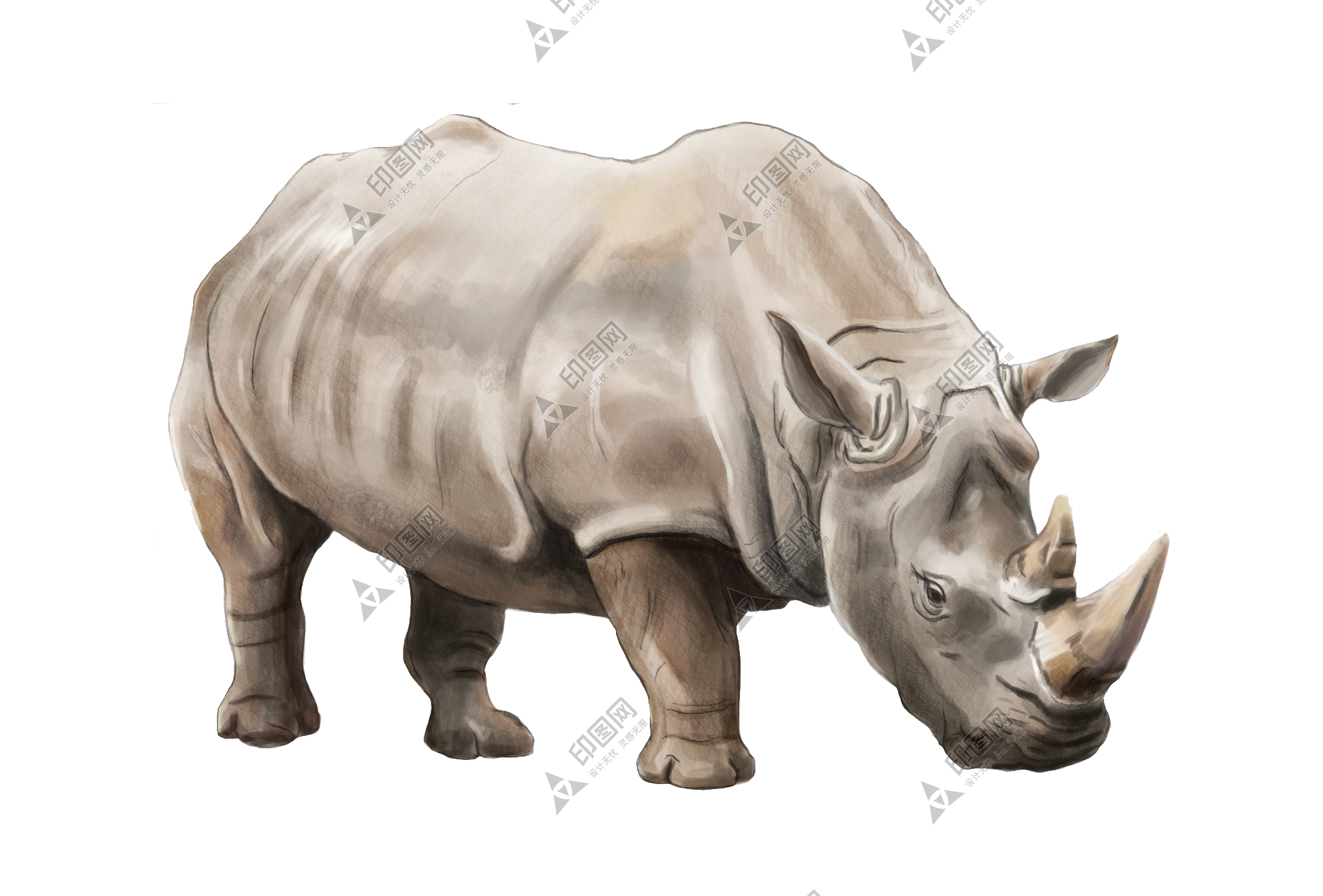 犀牛_犀_rhino_rhino