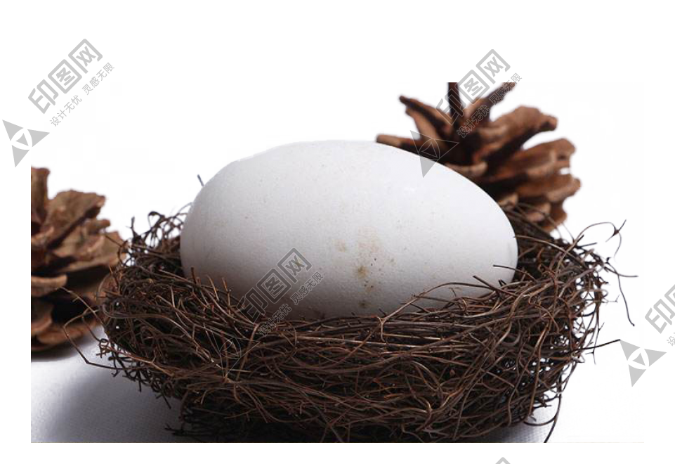 自然_鳥巢_鳥窩_巢穴_鳥蛋_nest_nest