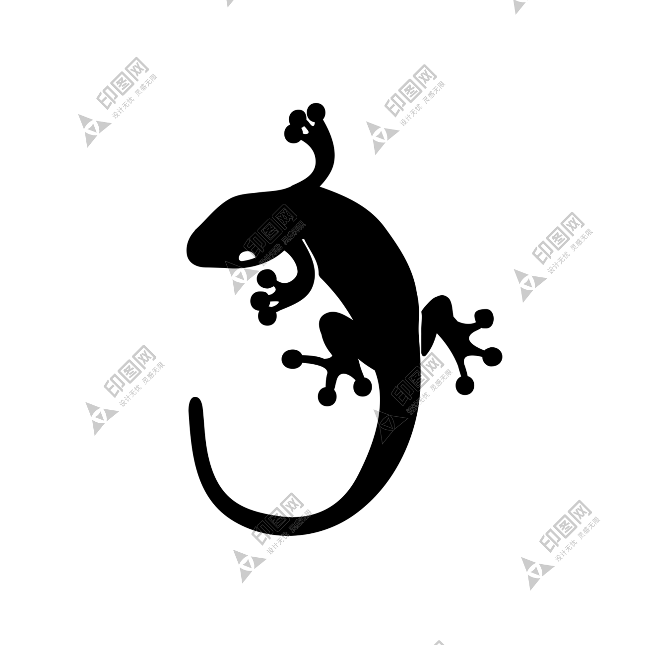 壁虎_蜥蜴_gecko_gecko
