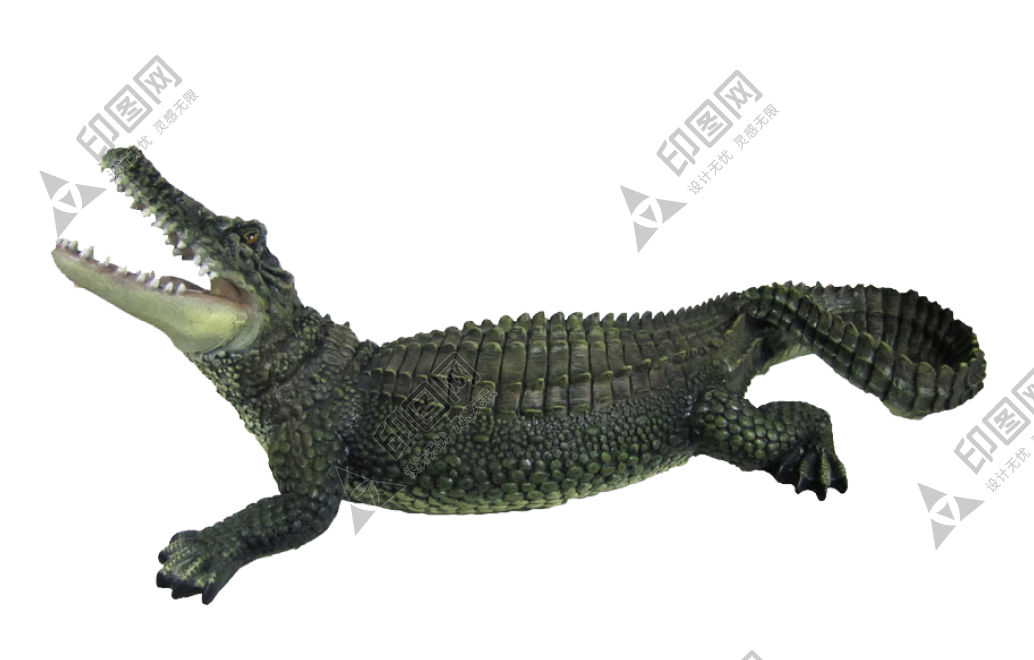 鱷魚_crocodile_crocodile