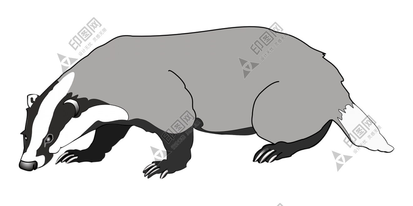 獾_badger_badger