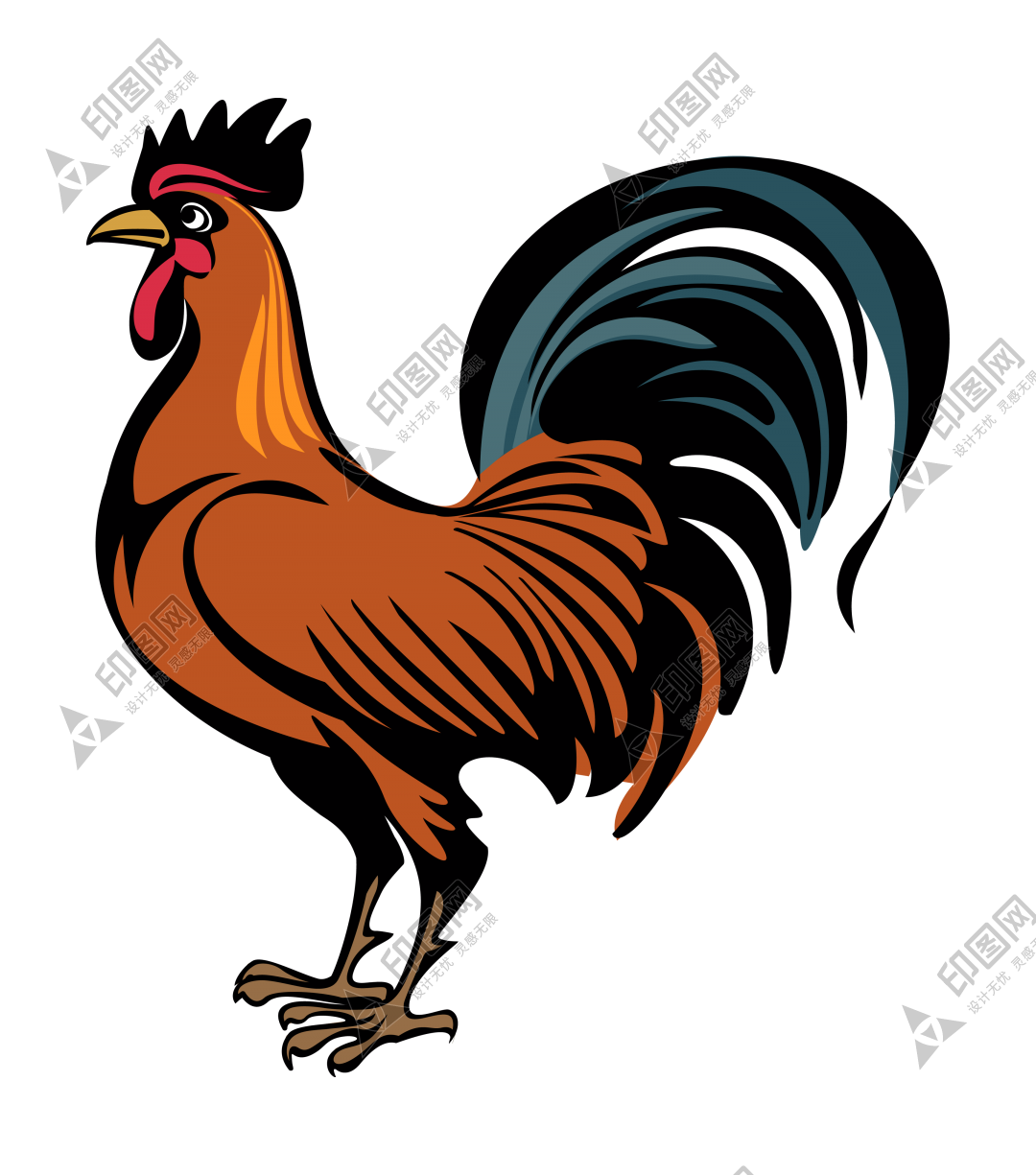 鸡_公鸡_雄鸡_cock_cock