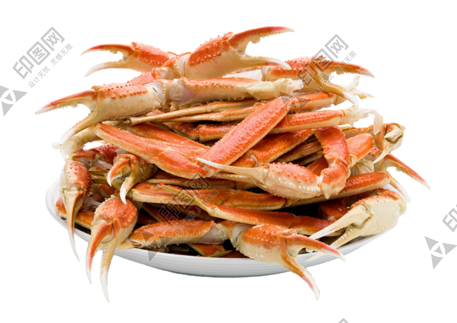 螃蟹_蟹_crab_crab