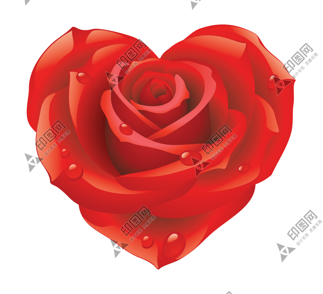 玫瑰_薔薇_花朵_花_玫瑰花_rose_rose
