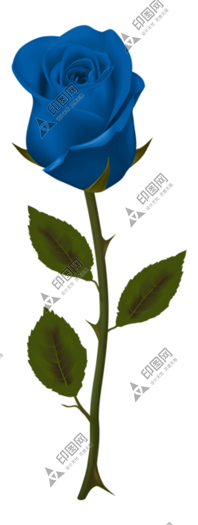 玫瑰_薔薇_花朵_花_玫瑰花_rose_rose