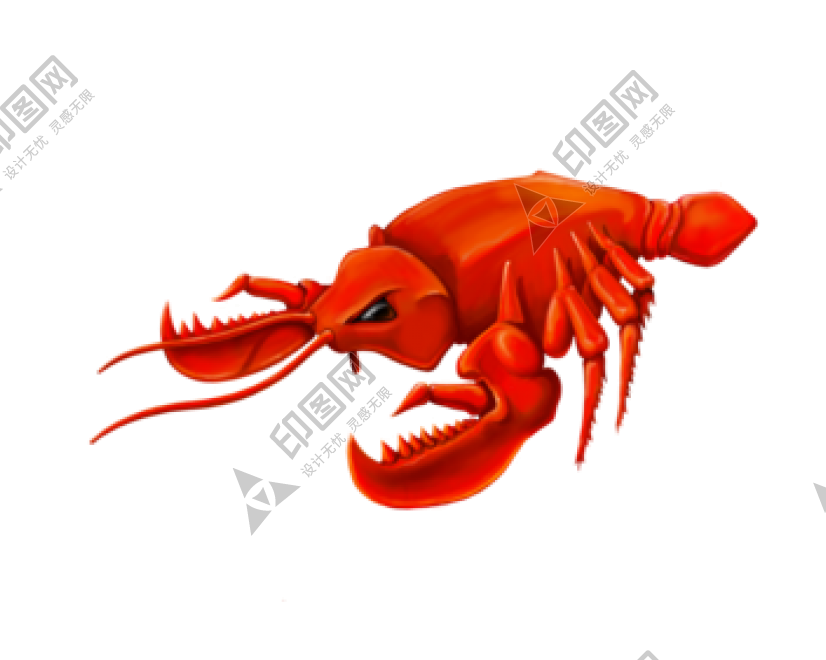 紅色_龍蝦_小龍蝦_蝦_lobster_lobster