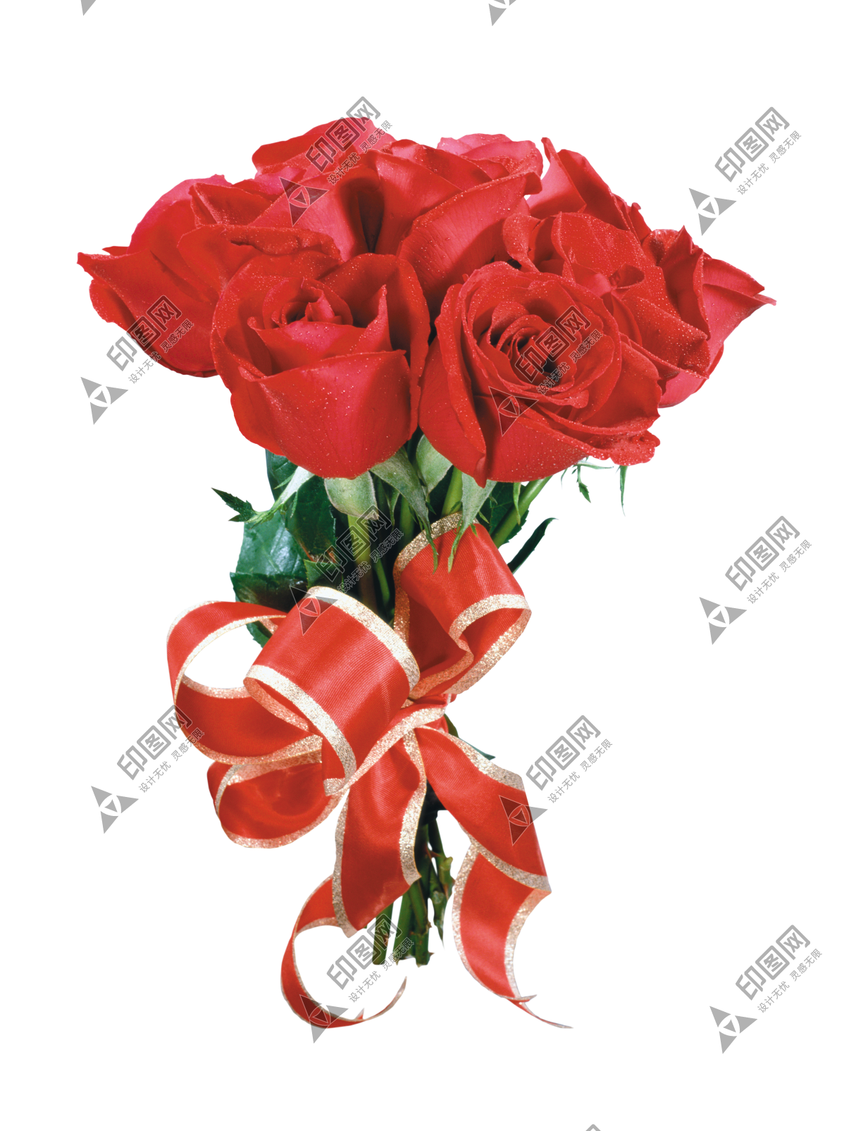 玫瑰_薔薇_花朵_花_玫瑰花_rose_rose
