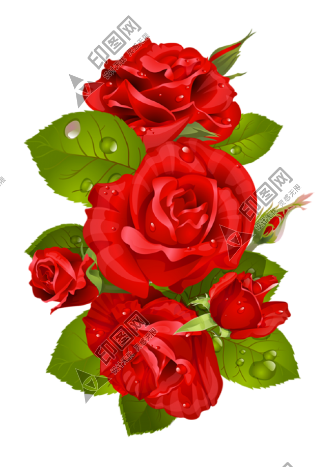 玫瑰_薔薇_花朵_花_玫瑰花_rose_rose