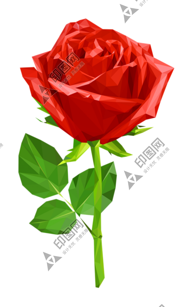 玫瑰_薔薇_花朵_花_玫瑰花_rose_rose