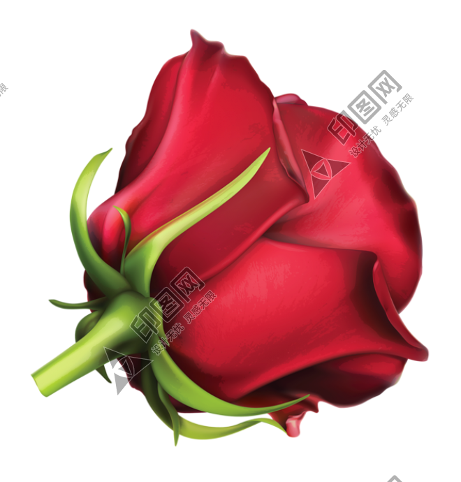 玫瑰_薔薇_花朵_花_玫瑰花_rose_rose