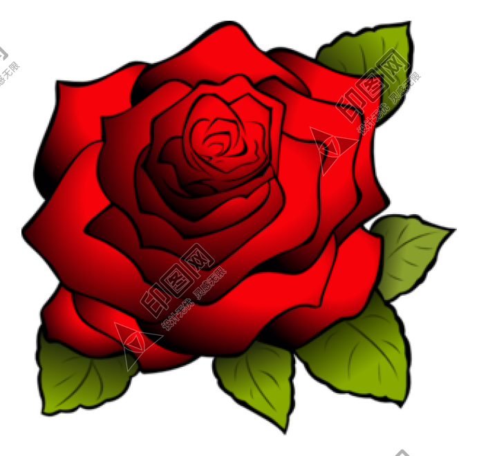 玫瑰_薔薇_花朵_花_玫瑰花_rose_rose