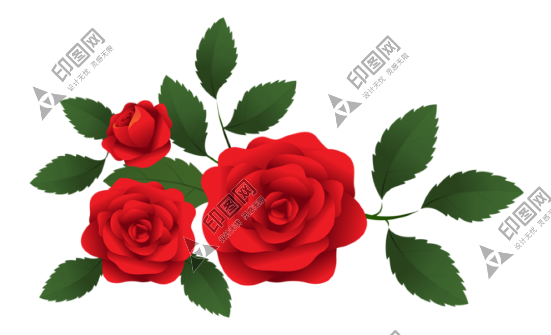 玫瑰_蔷薇_花朵_花_玫瑰花_rose_rose