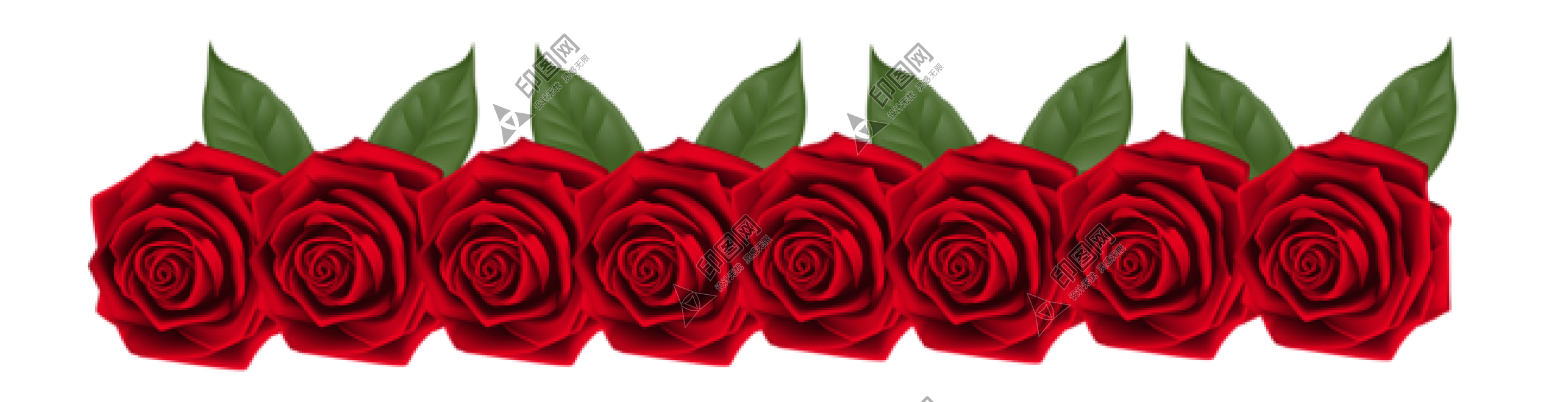 玫瑰_蔷薇_花朵_花_玫瑰花_rose_rose