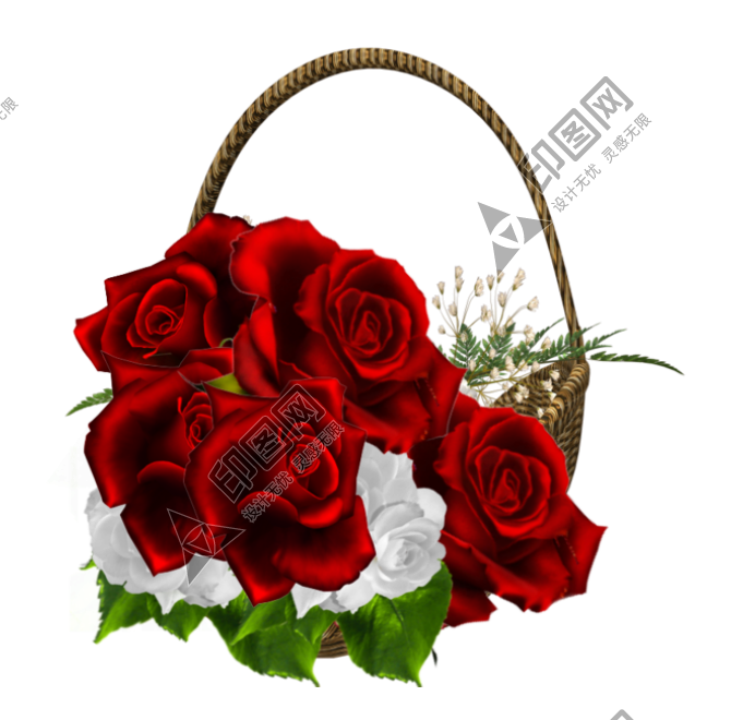 玫瑰_蔷薇_花朵_花_玫瑰花_rose_rose