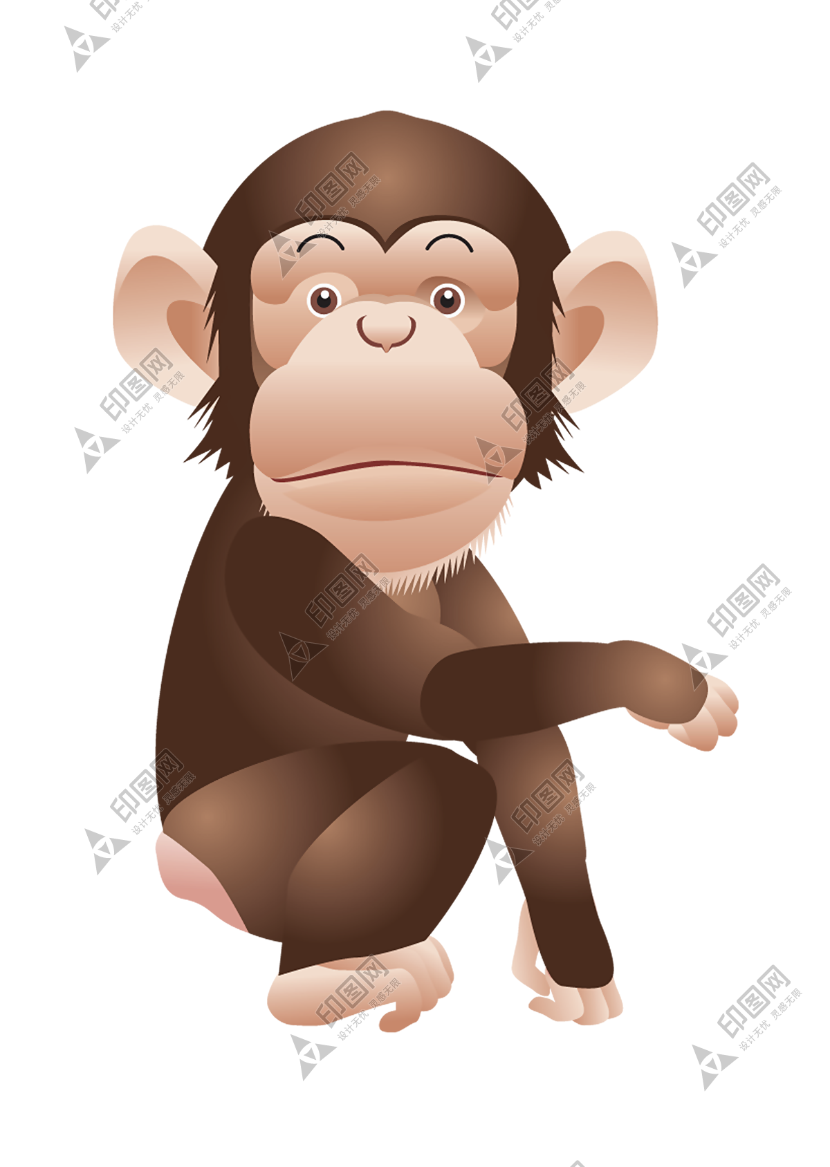 猴子_猴_monkey_monkey