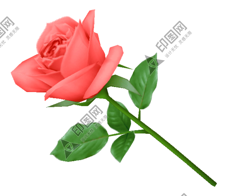 玫瑰_薔薇_花朵_花_玫瑰花_rose_rose