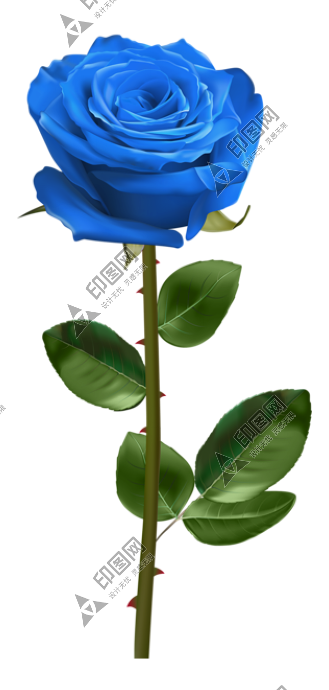 玫瑰_薔薇_花朵_花_玫瑰花_rose_rose