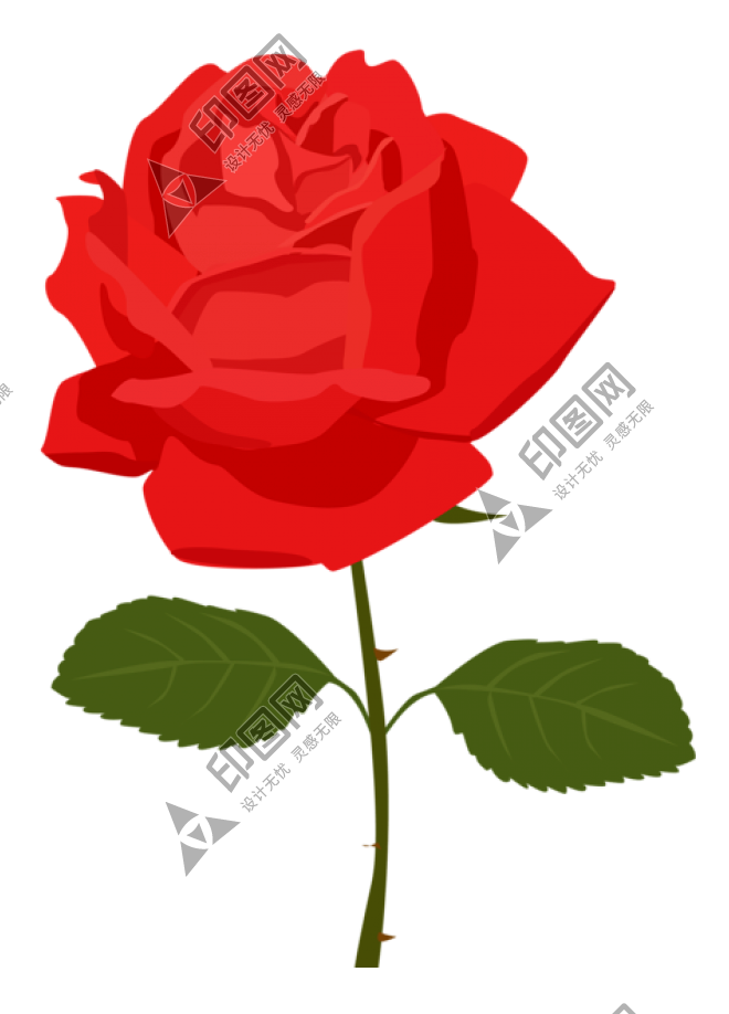 玫瑰_蔷薇_花朵_花_玫瑰花_rose_rose