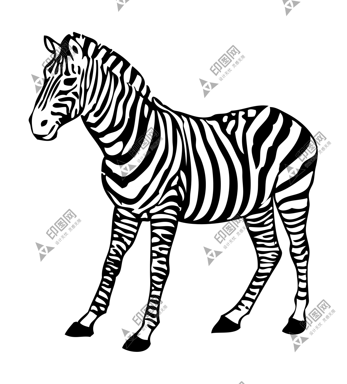 斑马_zebra_zebra