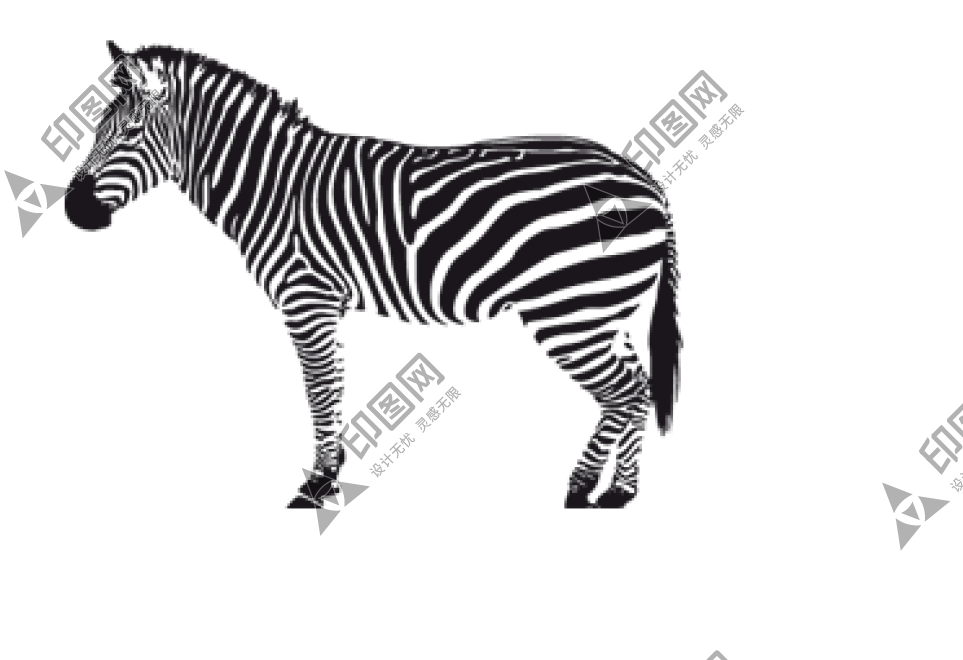 斑马_zebra_zebra