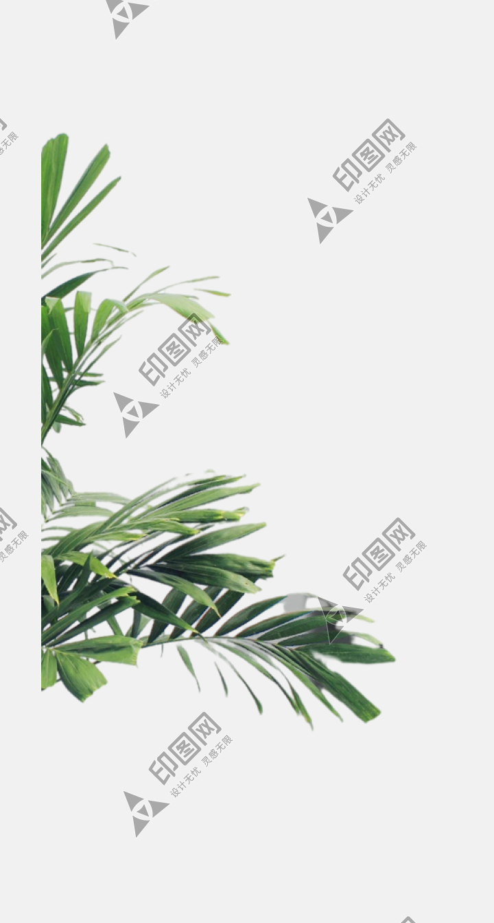 芭蕉树叶子png