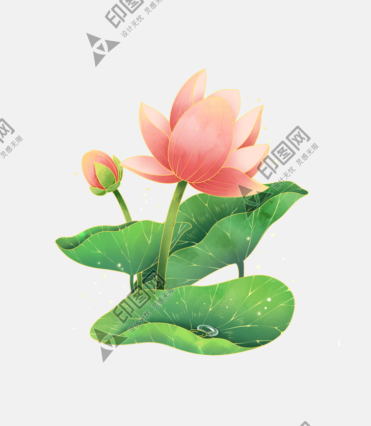 蓮