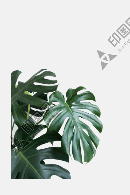 葉子樹葉png
