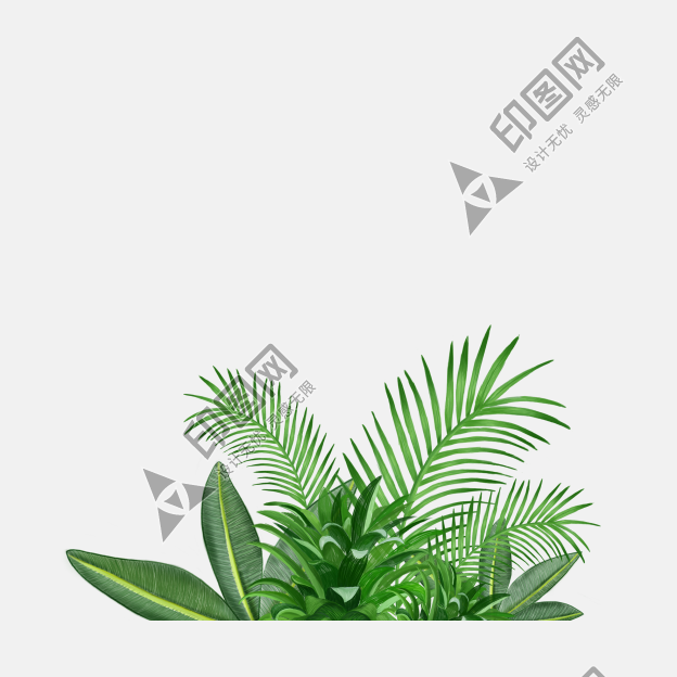 树叶叶子png