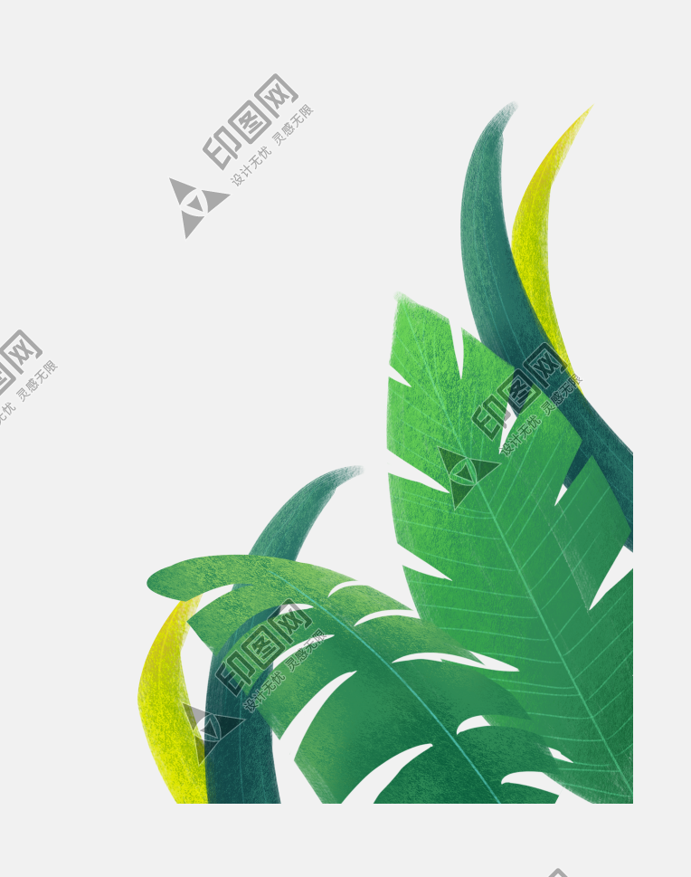 树叶叶子png