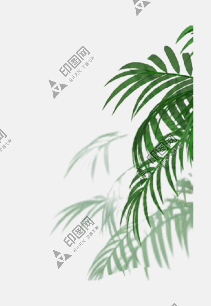 葉子樹葉png