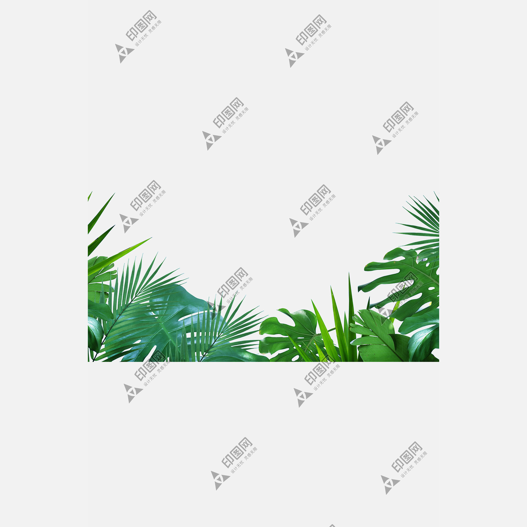 树叶叶子png