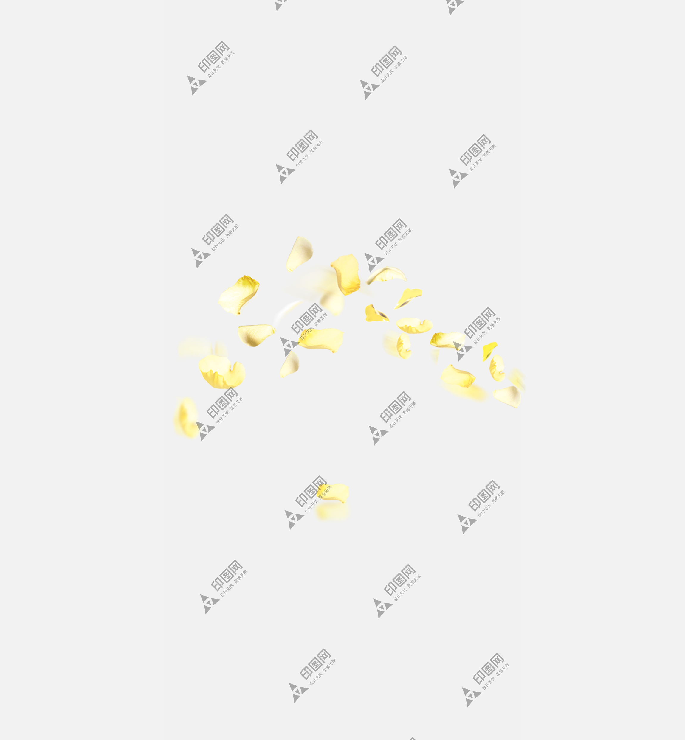 花瓣PNG素材