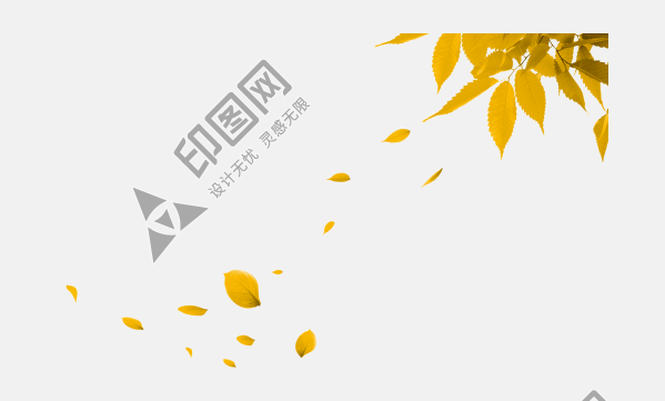 漂浮 树叶 装饰元素免抠png
