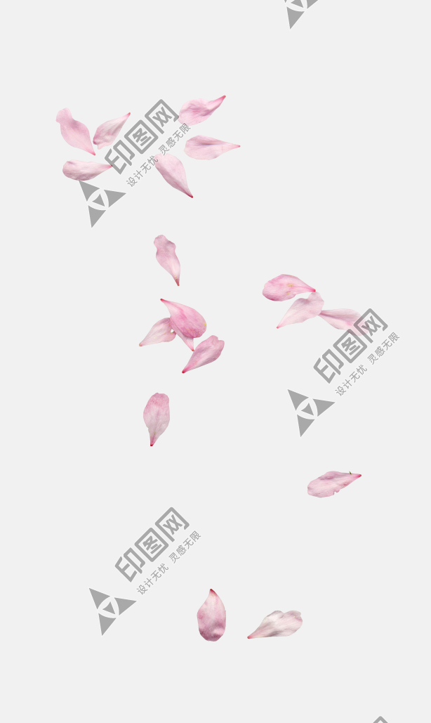 花瓣PNG素材
