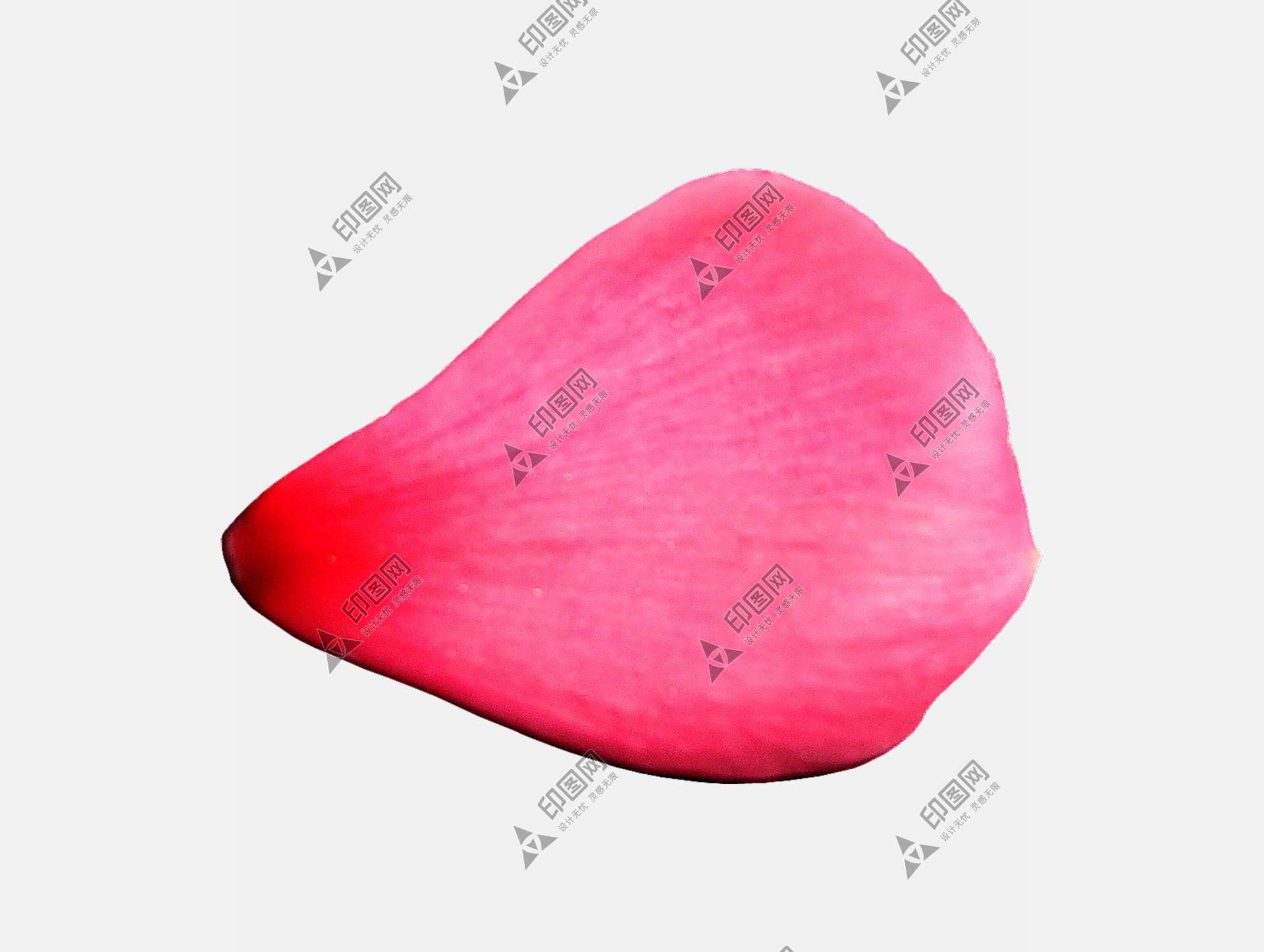 花瓣PNG素材