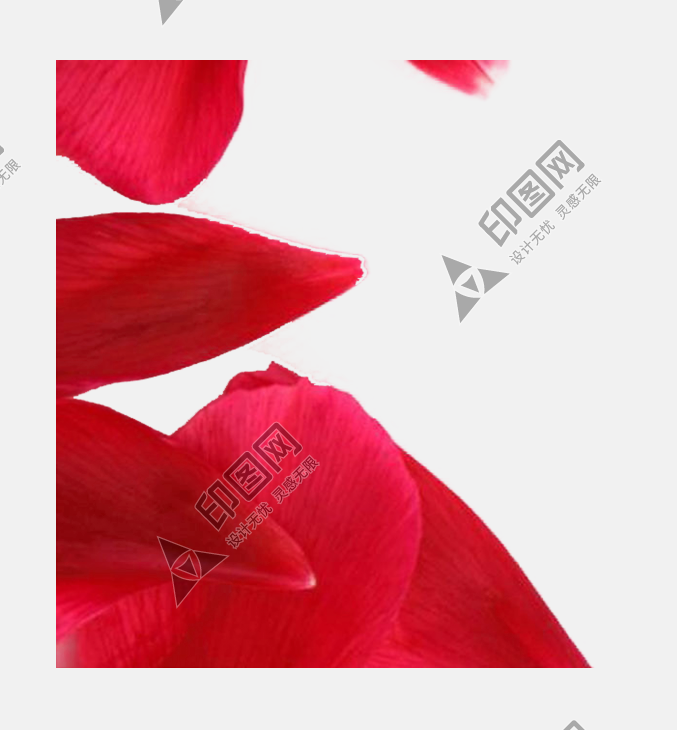 花瓣PNG素材